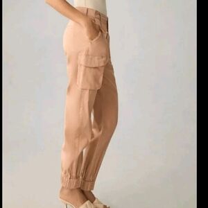 Anthropology Pilcro Blush Pleated Cargo Pants